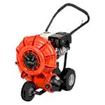 Rental store for LEAF BLOWER WALK BEHIND in Maine 