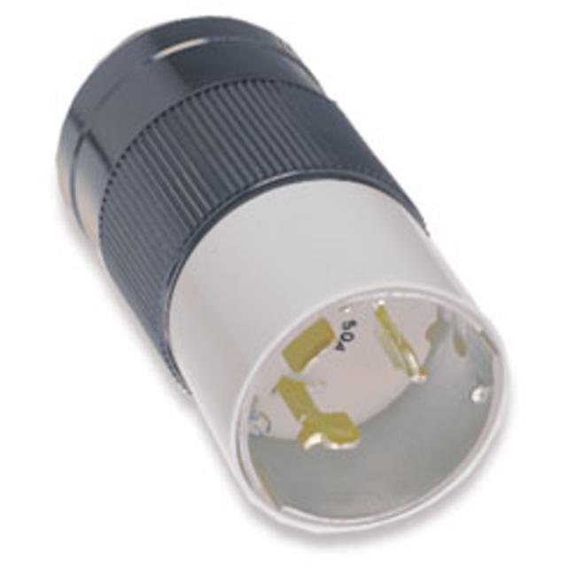 Rental store for PLUG TWIST 50A-125 250V MALE in Maine 