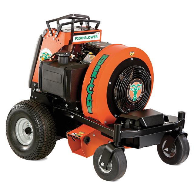 Rental store for LEAF BLOWER STAND ON in Maine 